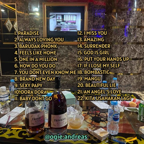 BREAKBEAT PARADISE X ALWAYS LOVING YOU X BARUDAK PHONK