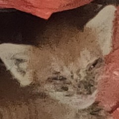 My ballsack playlist