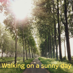 Walking on a sunny day