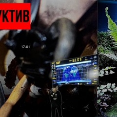 Toller Room - Frosst