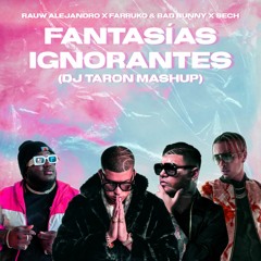 Fantasías Ignorantes (DJ TARON Intro Mashup)[FILTERED]
