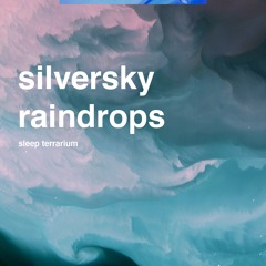 sleep terrarium - silversky raindrops
