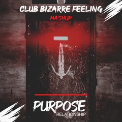Massano vs. U96 X YuB – Club Bizarre Feeling (Purpose Relationship Mashup) FULL EDIT DL LINK