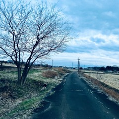 Windy Afternoon (loop)