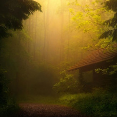 Deep House[Cozy Cabin Mix]UFO