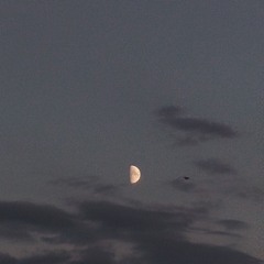 Время пройдёт и ты забудешь всё, что было