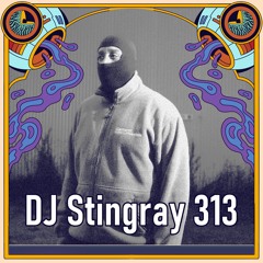 Aperture: DJ Stingray 313 (2025.07.12)