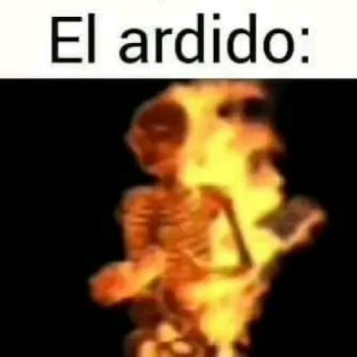 unused part of phonkist revival (read desc)