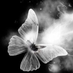 Baterfly