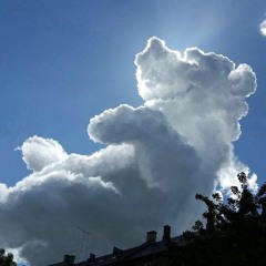 bear cloud