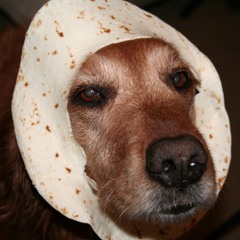 Flume - Never be like you (JR0B edit)