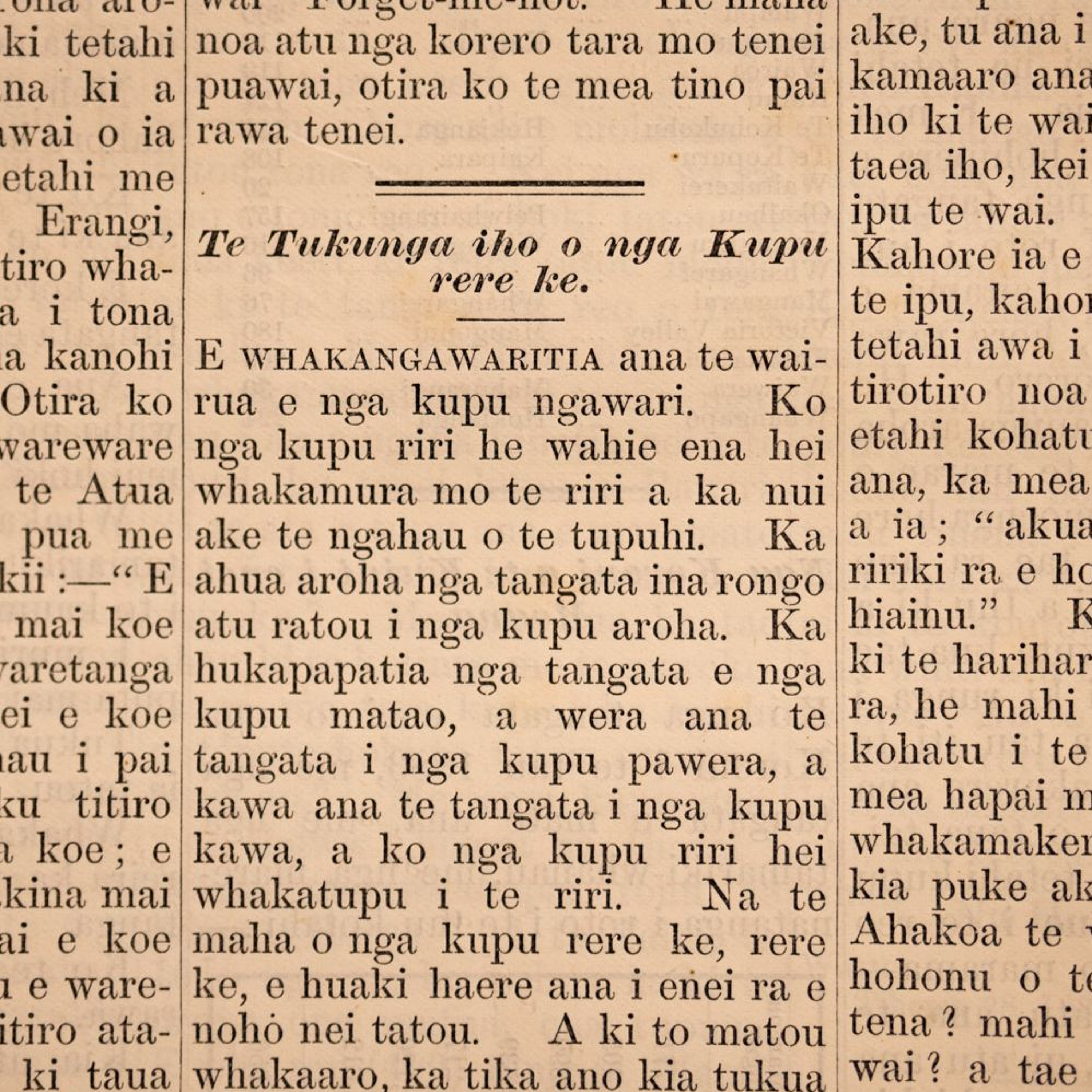 Te Korimako: Te Tukunga iho o nga Kupu rere ke episode artwork