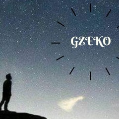 FEEL IT - GZEKO MINI MIX