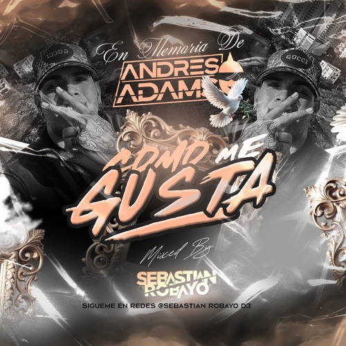COMO ME GUSTA BYSEBASTIAN ROBAYO (SET MEMORIA ANDRES ADAMS).MP3