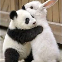 sayako - his wish，ᵇⁱᵗᵗᵉʳˢʷᵉᵉᵗ ♬ ᶜᵒᵛᵉʳ ᵇʸ ᵐᵉ