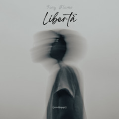 Tony Flame - Libertà - (prodbappa)