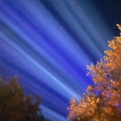 Lights