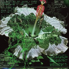 IMANU - Falling Apart (OXIDE FLIP)