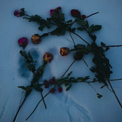 isitlove?