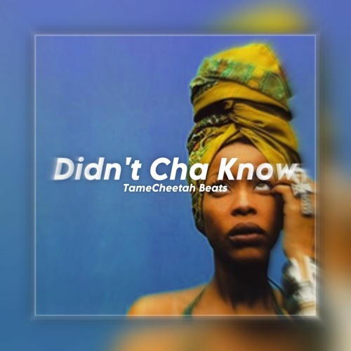 Stream Didn't Cha Know by TameCheetah Beats Listen online