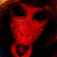 S2S Jamns 2026 - Day 09