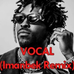 SAINt JHN - Roses Vocal Only (Imanbek Remix) Acapella