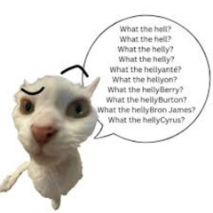 wthelly