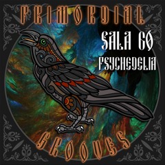 ❋ Primordial Podcast - Ep.18 - Sala 60 Psychedelia ❋