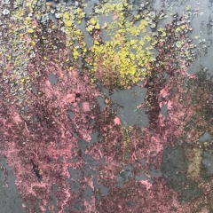 Protozonic Remedials [rough edit]