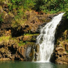 Review Special Price Circle Island Tour With Waimea Waterfall