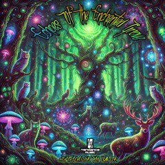 V/A Echoes Of Enchanted Grove Compiled by Lumia (tndm079 - Tendance Music Records)