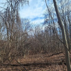 Ganienkeh Cousins Dance