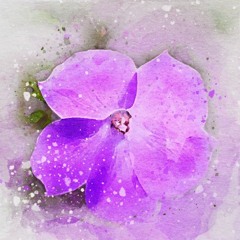 Hibiscus Flower (produced by silver richards)