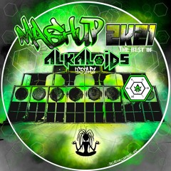| TEKNO | Alkaloids432hz |  Mashup2021 |