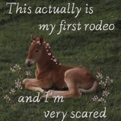 First Rodeo Mix