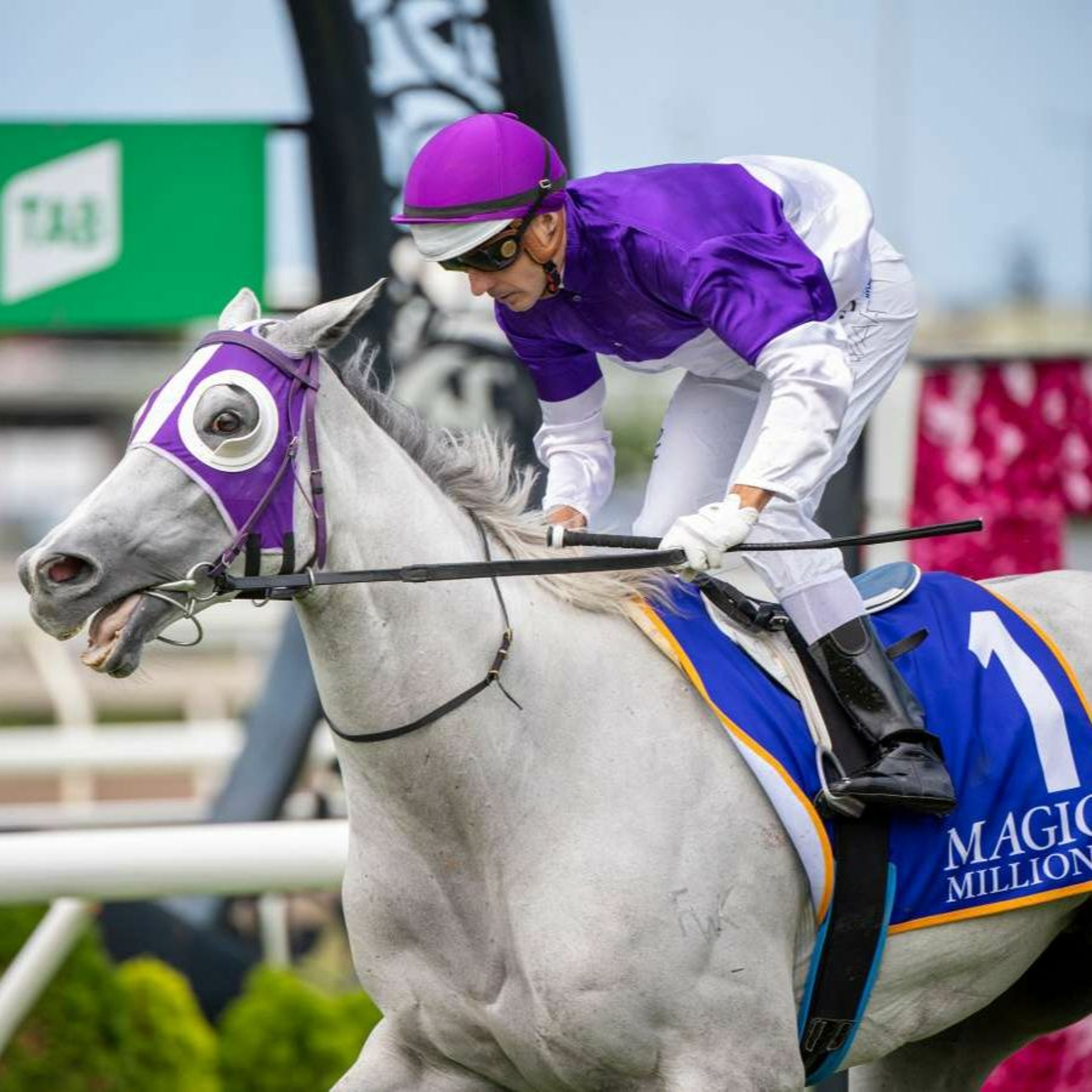 Princess Stakes Day Punting Preview