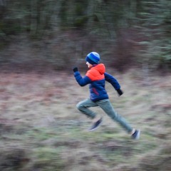 Chased Through Yards