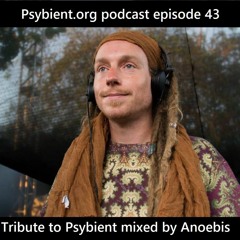 Psybient.org Podcast -43- Anoebis - Tribute to Psybient.org