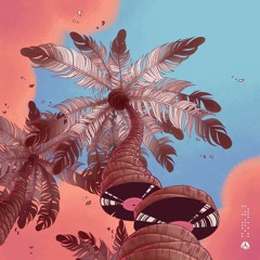 Ruck P - Tayrona