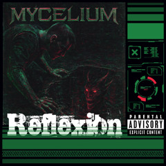Reflexion