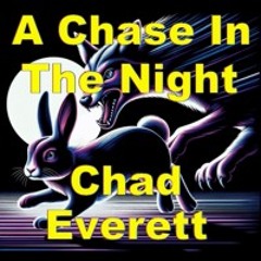 A Chase In The Night