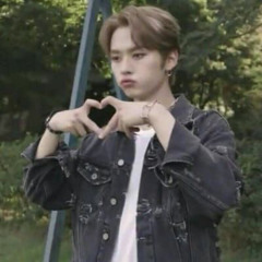 Stray kids-n/s (speed up)
