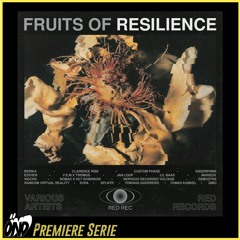 Premiere : Jan Loup - Aram Ashes - V.A Fruits of Resilience