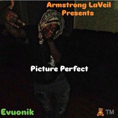 Evuonik XX Picture Perfect