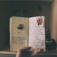 Không phải lời tỏ tình-1nG