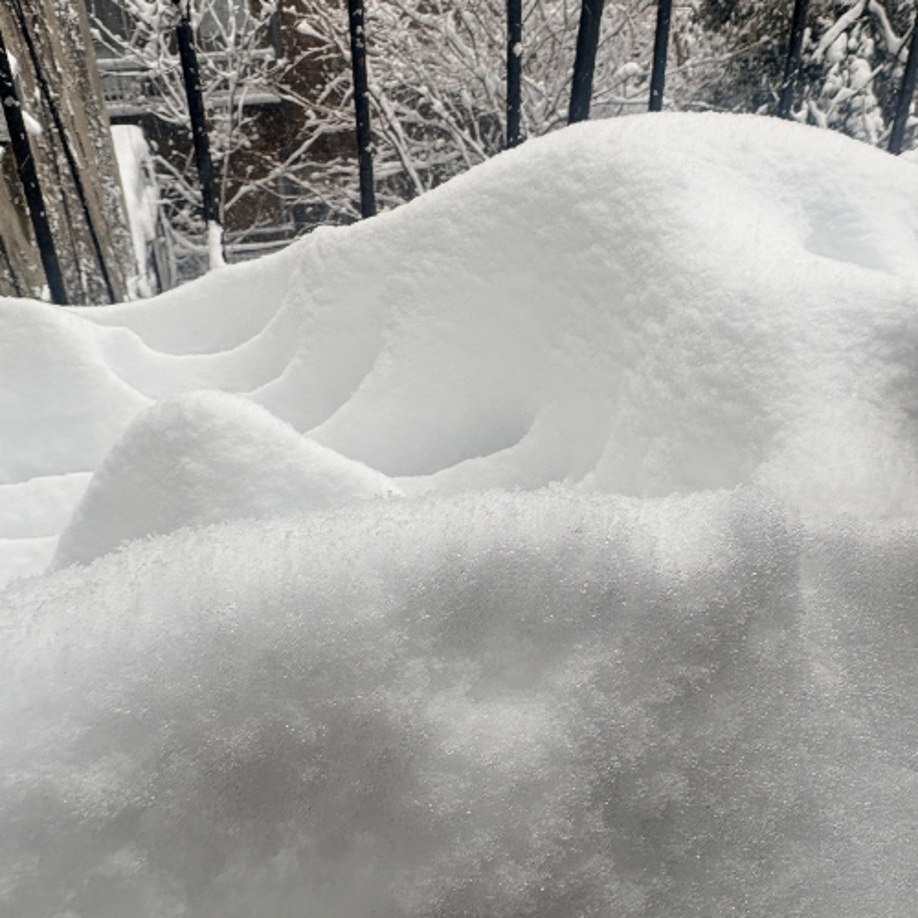 022426 State of the Union, British Pol Latest Epstein Bust, Eileen Gu Takes the Gold, Snowball Fight episode artwork