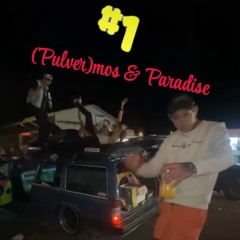 (Pulver)mos & Paradise #SnöslungaEdit3.0