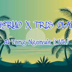 HERMØ x Tris Olap- Ai Tong Ngonuk (CVR)