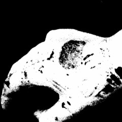 Dying A Meaningless Death
