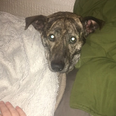 Saint Sebastian MASTERING 320K